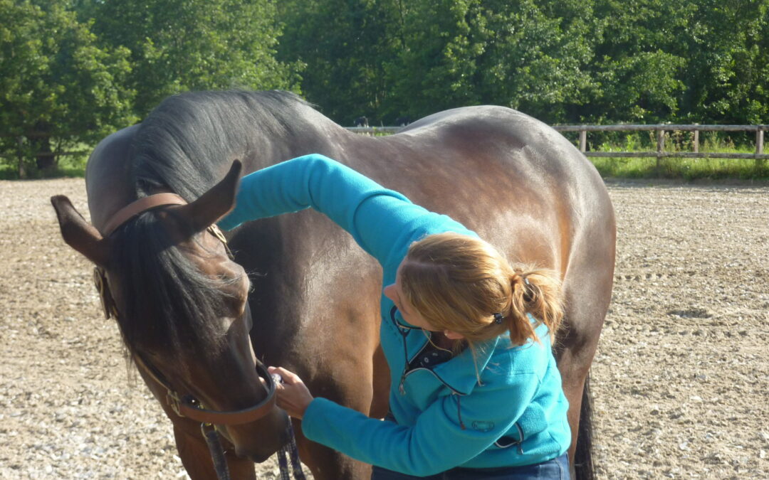 Hoe kies je een goede osteopaat?